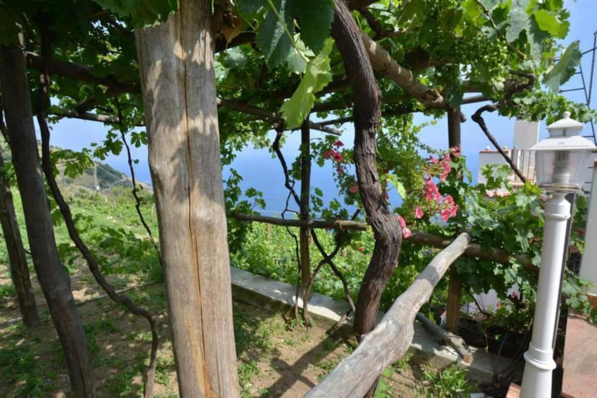 Tenuta La Picola Furore Exterior foto